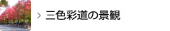 三色彩道の景観